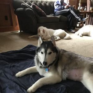 Meet your Posher, Kelly